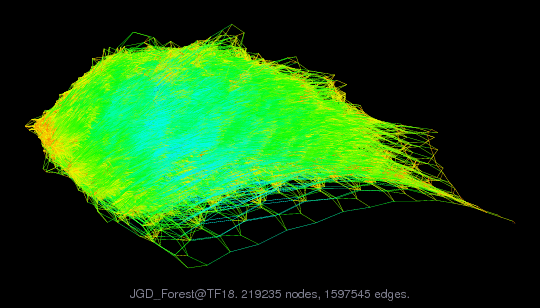 JGD_Forest@TF18