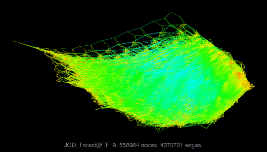 JGD_Forest@TF19