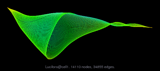 Lucifora@cell1