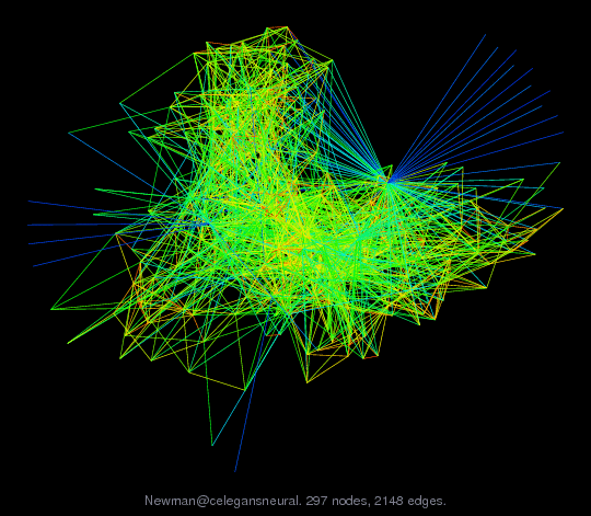 Newman@celegansneural