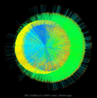 IBM_EDA@trans5