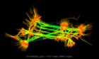 LPnetlib@lpi_gosh