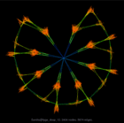 Sandia@fpga_dcop_12